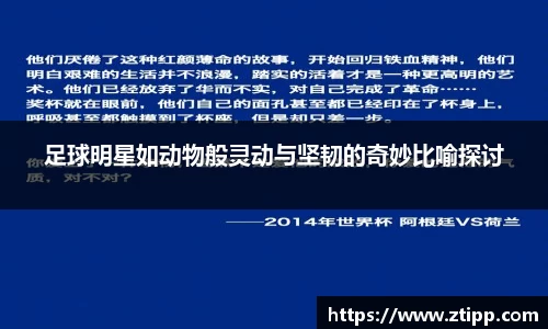 足球明星如动物般灵动与坚韧的奇妙比喻探讨